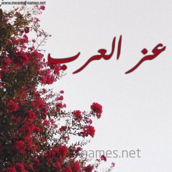 شكل 18 صوره الورد الأحمر للإسم بخط رقعة صورة اسم عز العرب AZELARAB